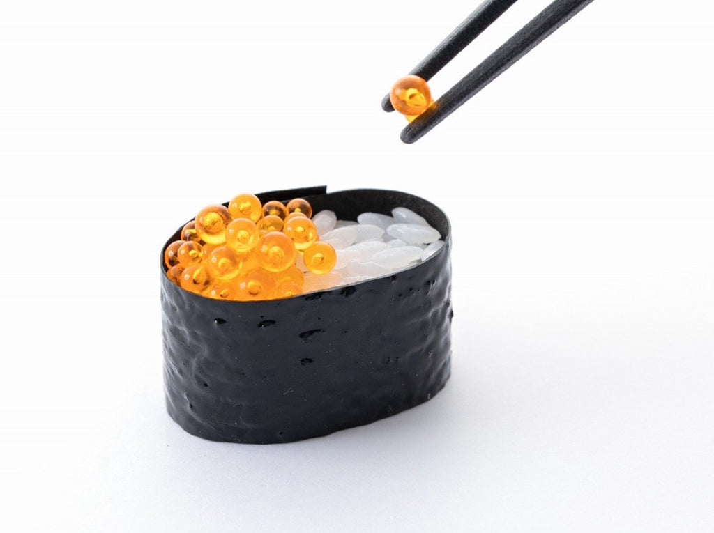 Japan sushi gift