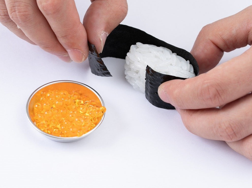 Sushi funny gift