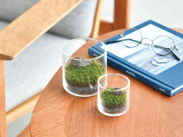 Japanese Terrarium