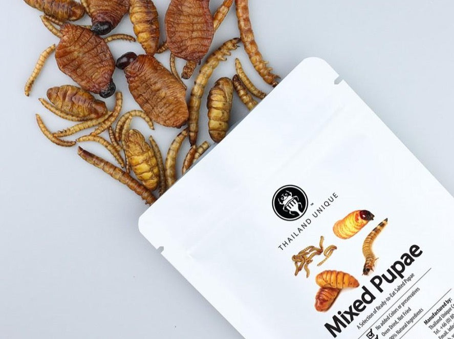 insect food 